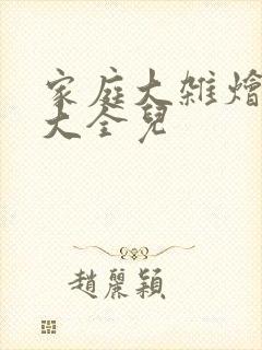 家庭大杂烩小说大全儿封面