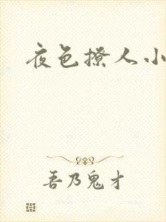 夜色撩人小说