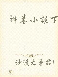 神墓小说下载封面