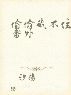 偷偷藏不住新婚番外