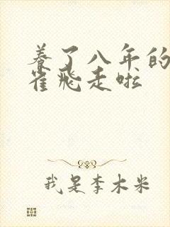 养了八年的金丝雀飞走啦