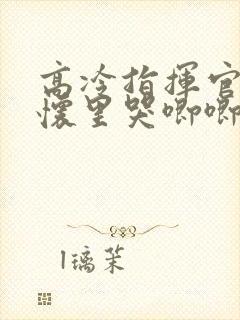 高冷指挥官在我怀里哭唧唧第二季