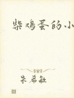 柴鸡蛋的小说