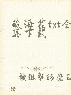 藏海花txt全集下载封面