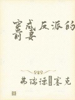 穿成反派的炮灰前妻封面