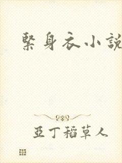 紧身衣小说