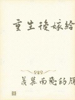 重生后嫁给三叔封面