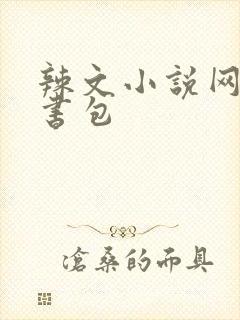 辣文小说网第二书包