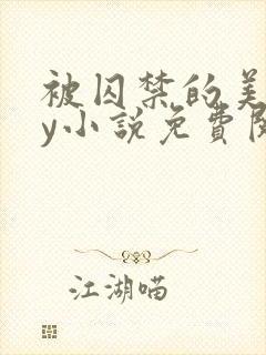 被囚禁的美人by小说免费阅读