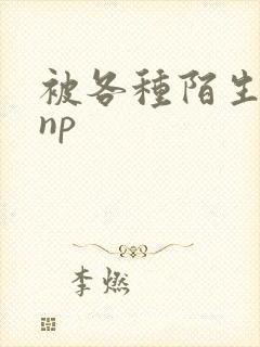 被各种陌生人 np