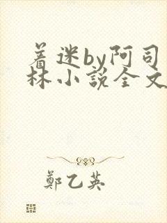 着迷by阿司匹林小说全文免费阅读无广告封面