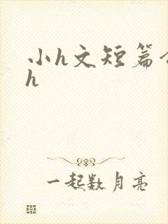 小h文短篇合集h封面