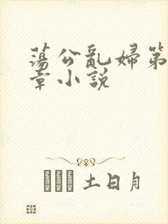 荡公乱妇第51章小说