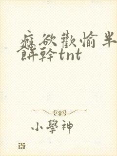 瘾欲欢愉半块小饼干tnt