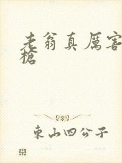 老翁真厉害不倒枪封面