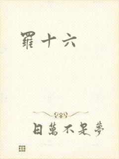 罗十六封面