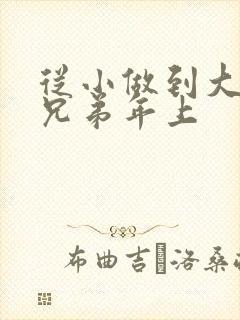 从小做到大骨科兄弟年上封面