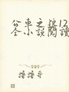 公车之狼12集全小说阅读