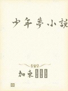少年梦小说封面