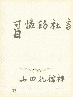 可怜的社畜东度日封面