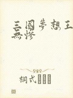 三国梦想王元姬无惨
