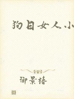 狗日女人小说
