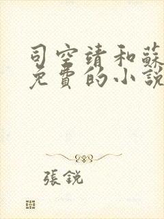 司空靖和苏月汐免费的小说笔趣阁