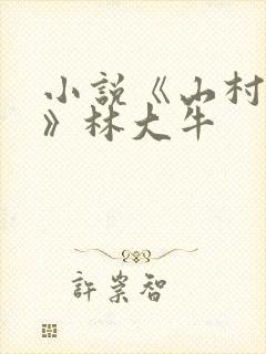 小说《山村情事》林大牛封面