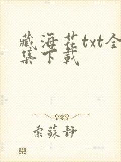 藏海花txt全集下载封面