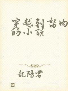 穿越到胬肉系统的小说