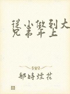 从小做到大骨科兄弟年上封面