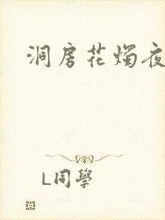 洞房花烛夜小说