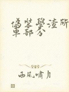 伪装学渣所有开车部分