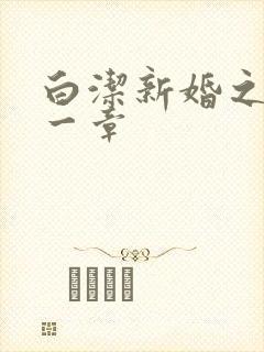 白洁新婚之夜第一章封面