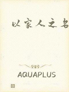 以家人之名小说