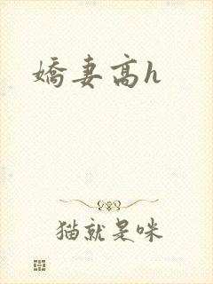 娇妻高h