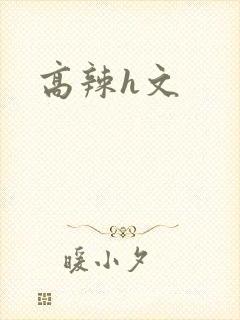 高辣h文