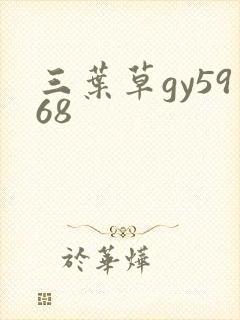 三叶草gy5968