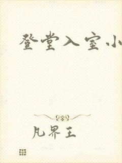 登堂入室小说