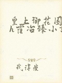 皇上御花园hlh霍冶臻小说封面