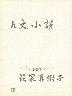 h文小说封面