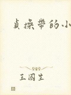 贞操带的小说封面