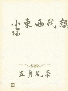 小东西我想弄坏你