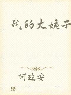 我的大姨子封面