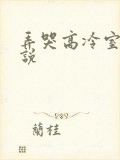 弄哭高冷室友小说
