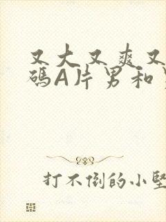 又大又爽又黄无码A片男和男