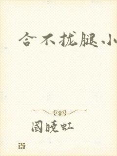 合不拢腿小说