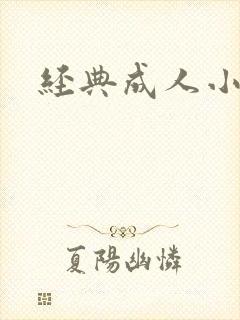 经典成人小说封面