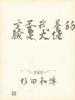 完蛋我养的小白脸是大佬