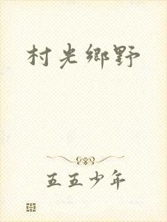 村光乡野封面
